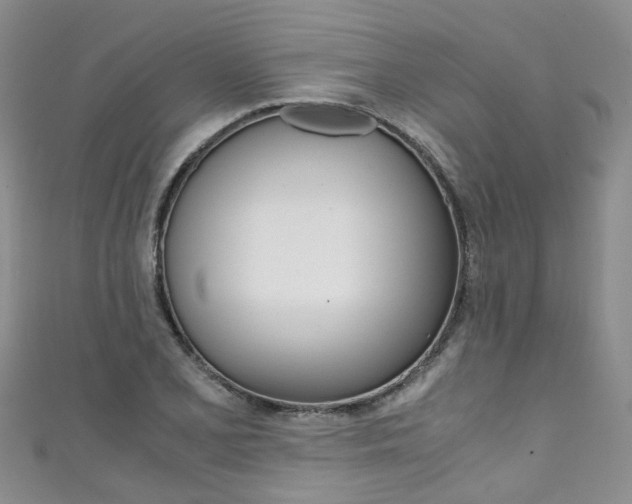 X0000111431077200907131036