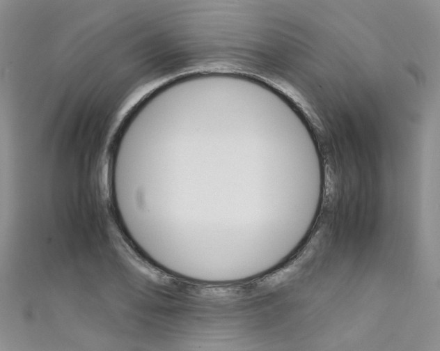 X0000111431078200907131036