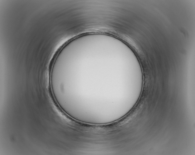 X0000111431079200907131036