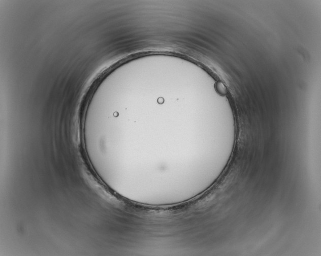 X0000111431080200907131036