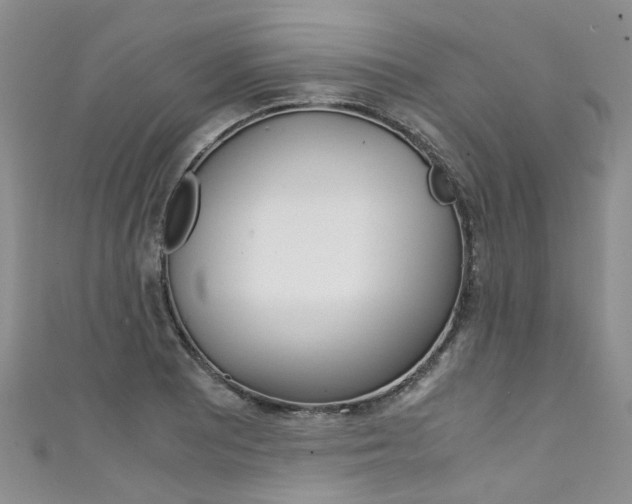 X0000111431081200907131036