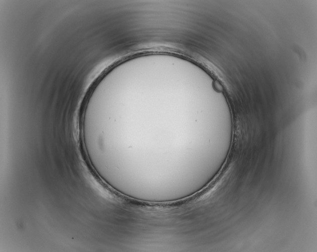 X0000111431082200907131035