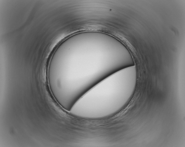 X0000111431083200907131035