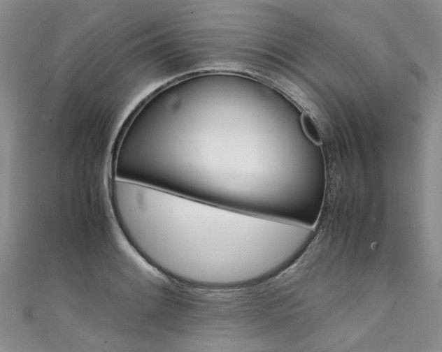 X0000111431084200907131035
