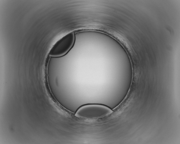 X0000111431085200907131035