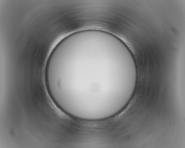 X0000111431086200907131035