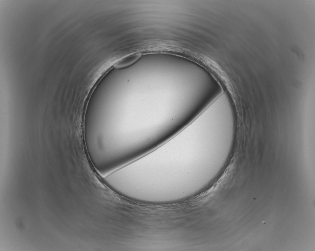 X0000111431089200907131035