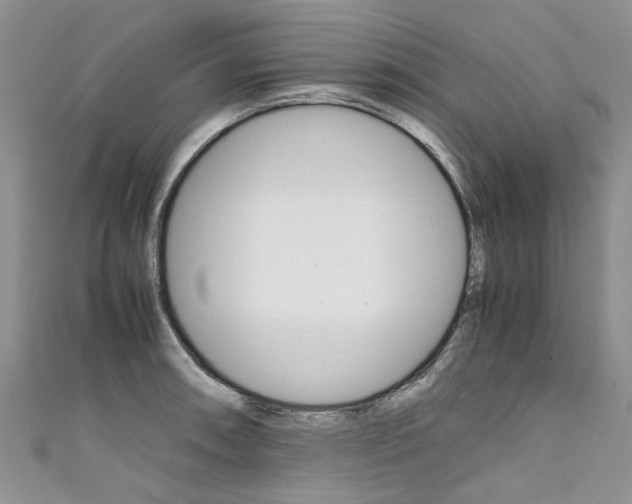 X0000111431090200907131035