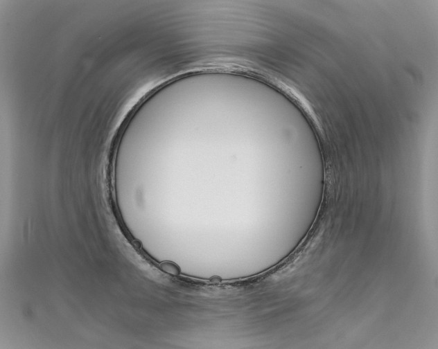 X0000111431091200907131035