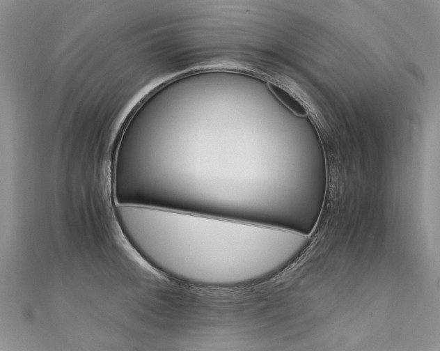 X0000111431092200907131035