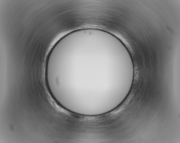 X0000111431094200907131035