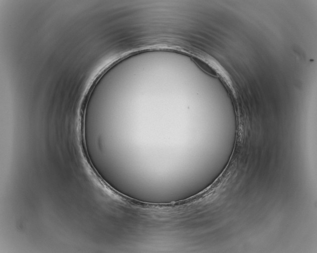 X0000111431096200907131035