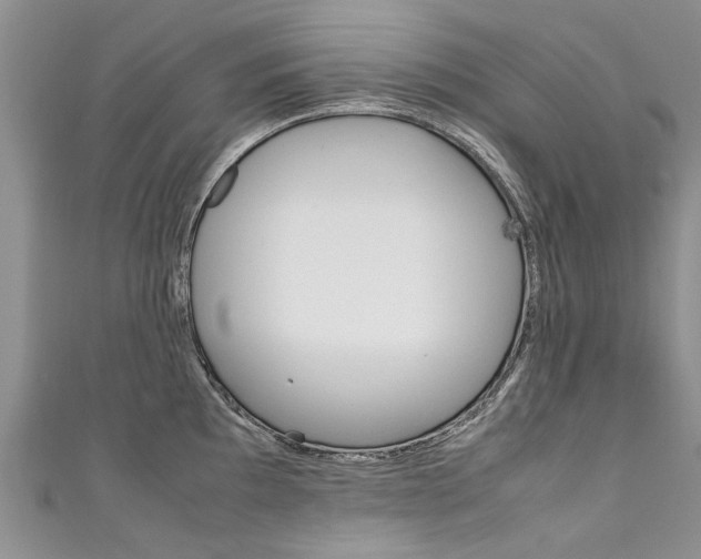 X0000111431097200907131035