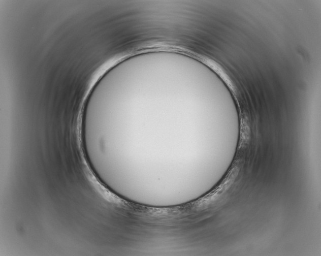 X0000111431098200907131035