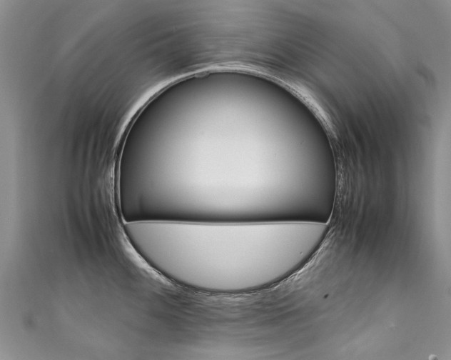 X0000111431100200907131035