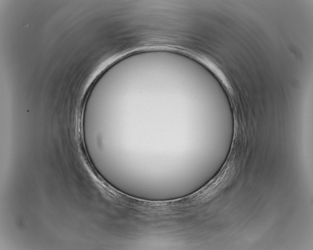 X0000111431101200907131035