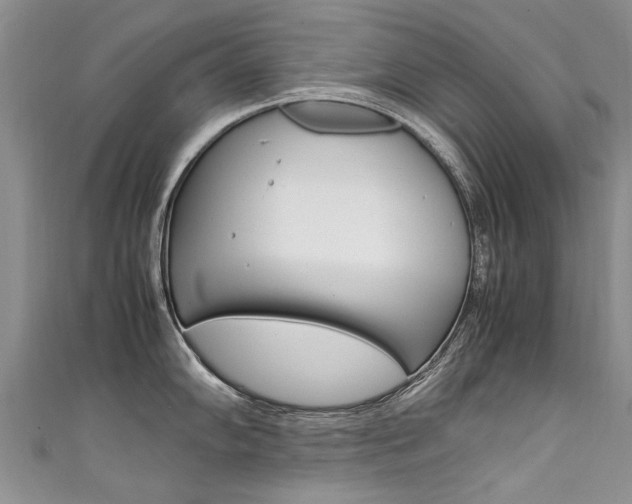 X0000111431102200907131035