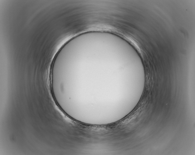X0000111431103200907131035