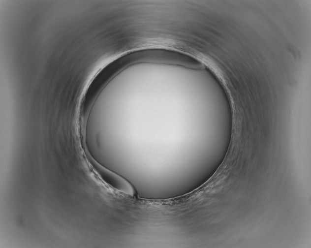 X0000111431104200907131035