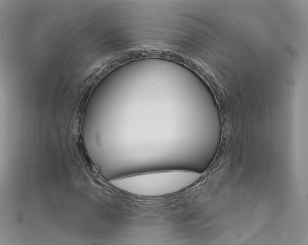 X0000111431110200907131035