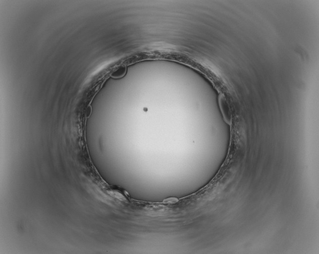 X0000111431112200907131035