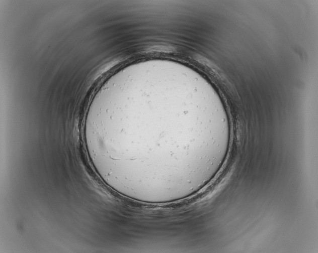 X0000111431113200907131035
