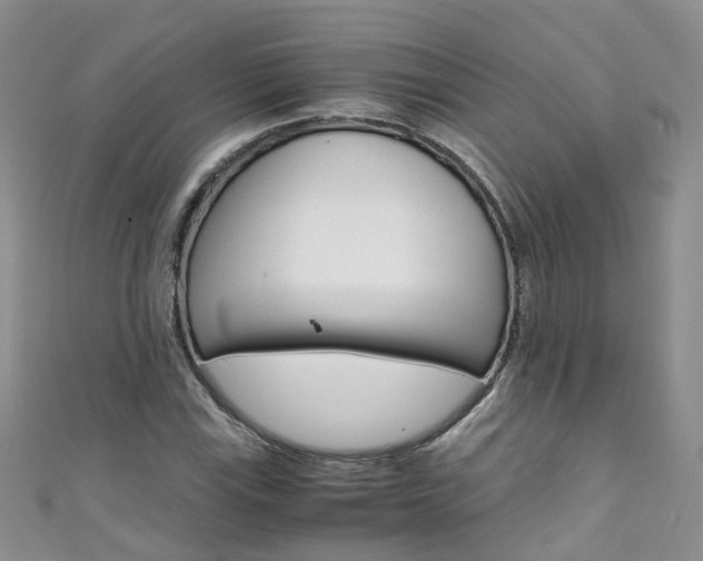 X0000111431115200907131035
