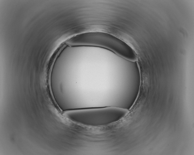 X0000111431116200907131035
