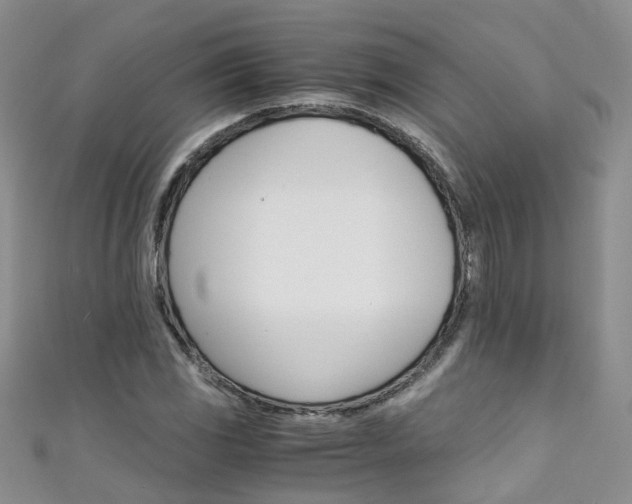 X0000111431117200907131035