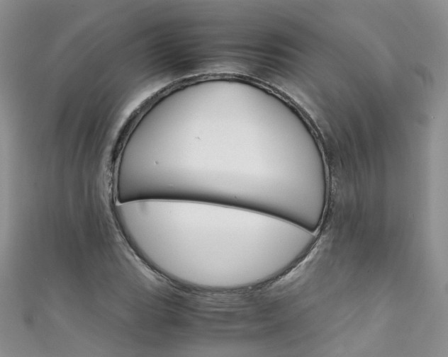 X0000111431119200907131035