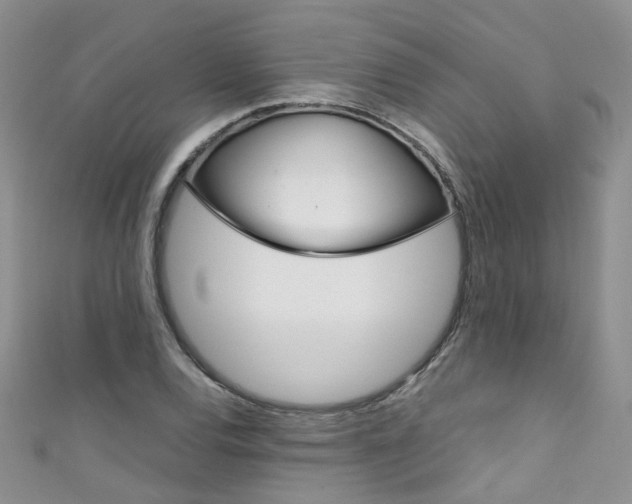 X0000111431120200907131035
