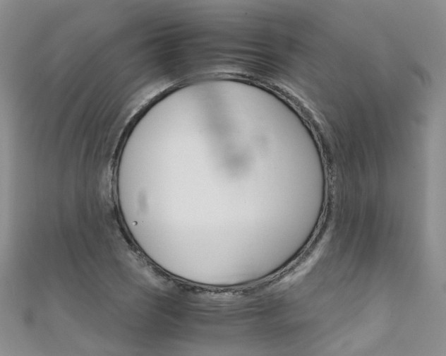 X0000111431121200907131035