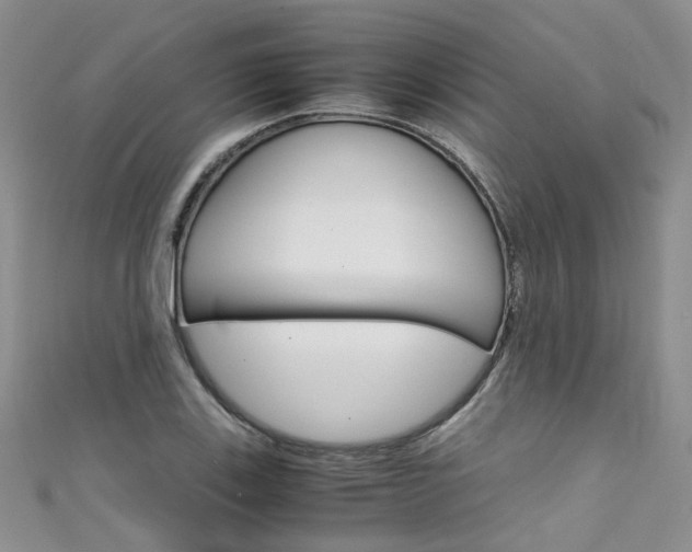 X0000111431123200907131035