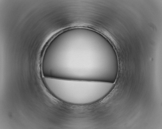 X0000111431124200907131035