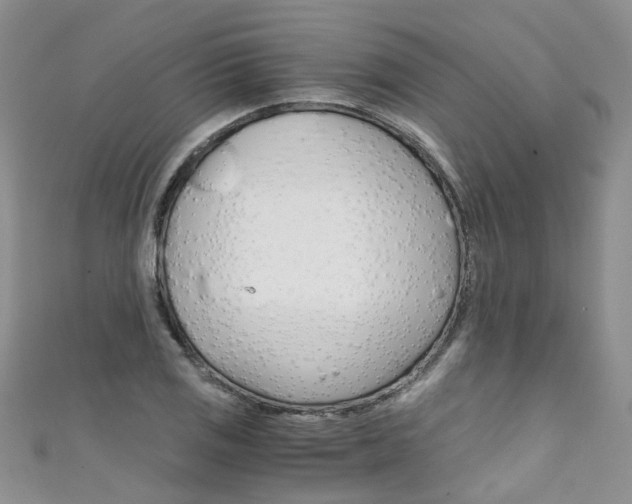 X0000111431125200907131035