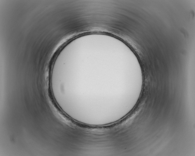 X0000111431126200907131035