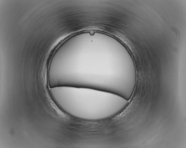 X0000111431127200907131035
