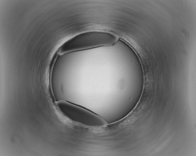 X0000111431128200907131035