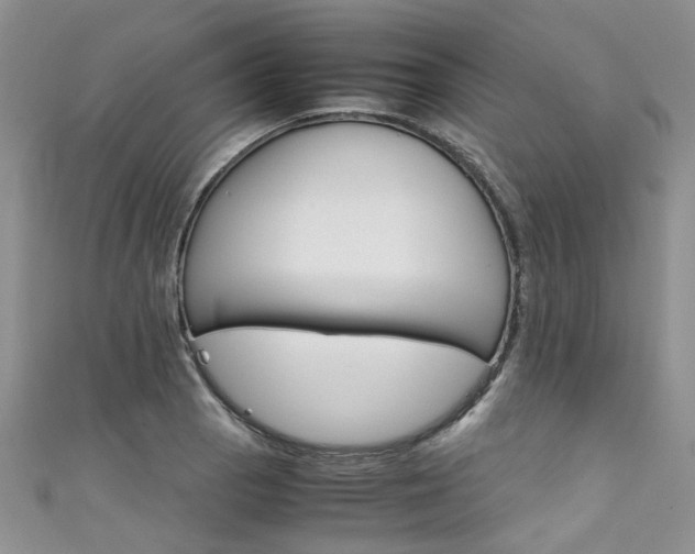 X0000111431129200907131035