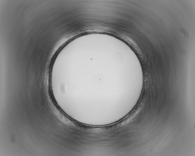 X0000111431130200907131035
