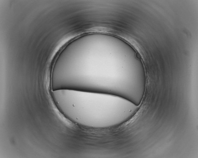 X0000111431131200907131035