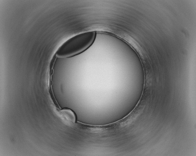 X0000111431132200907131035