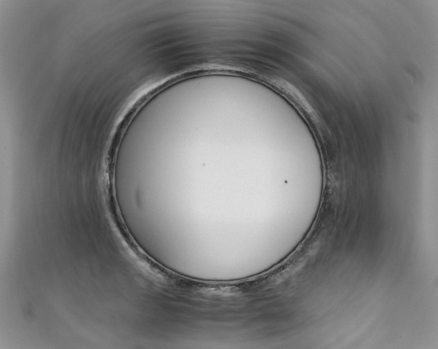 X0000111431133200907131035