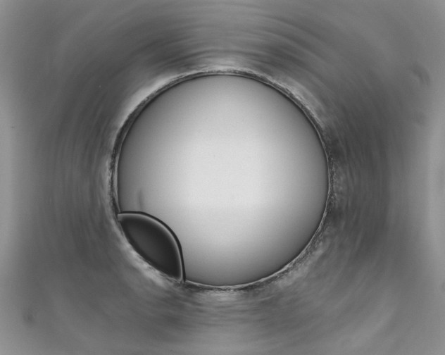 X0000111431134200907131035