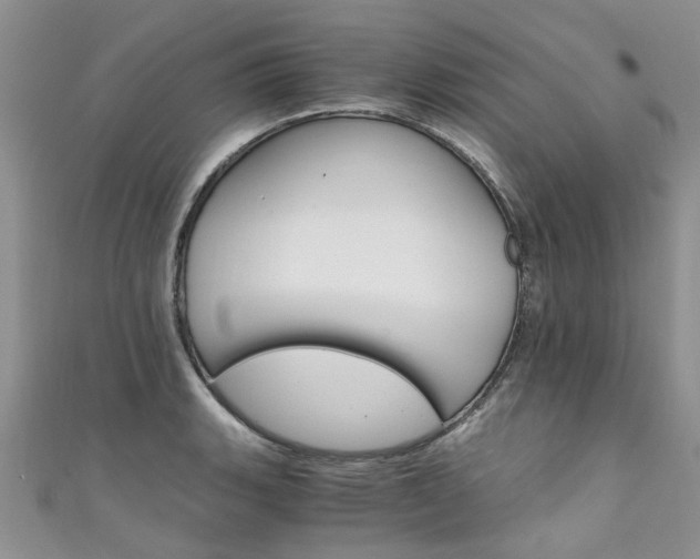 X0000111431135200907131035