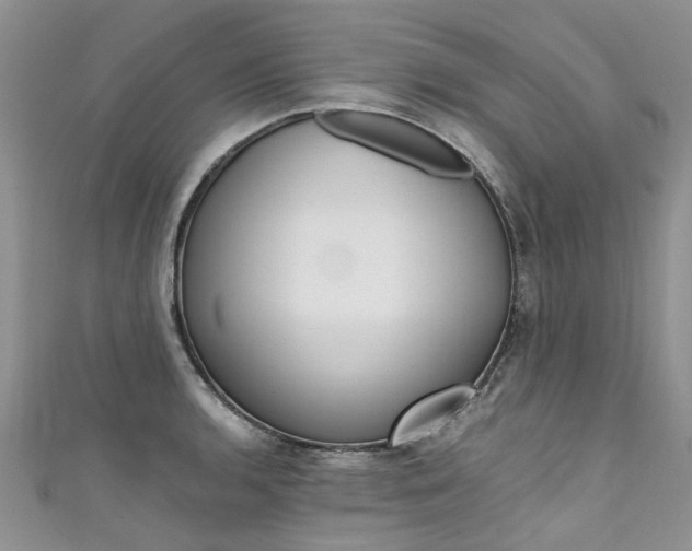 X0000111431136200907131035