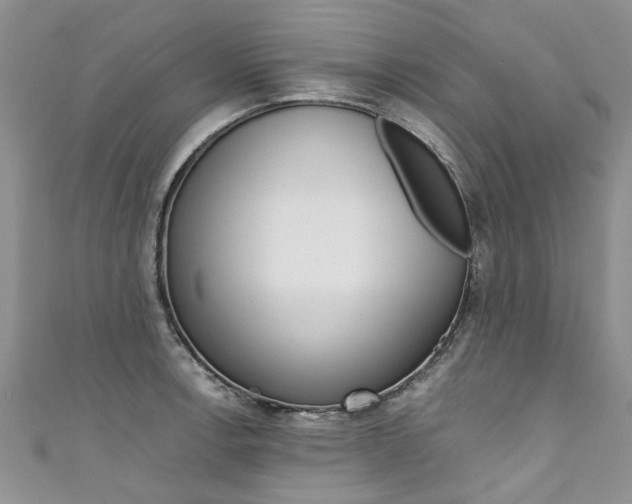 X0000111431138200907131035