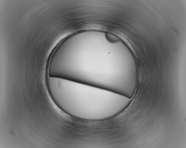X0000111431139200907131035