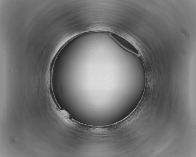 X0000111431140200907131035
