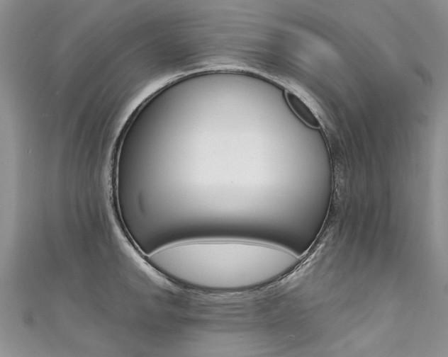 X0000111431142200907131035